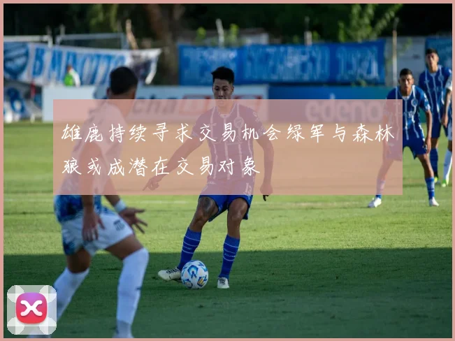 雄鹿持续寻求交易机会绿军与森林狼或成潜在交易对象