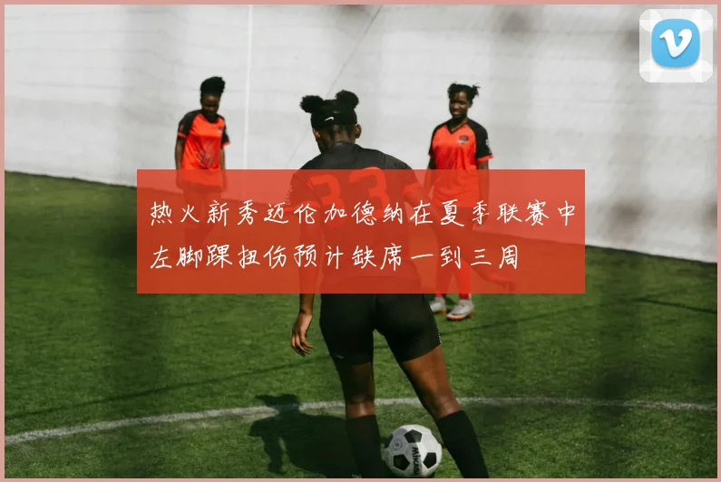 热火新秀迈伦加德纳在夏季联赛中左脚踝扭伤预计缺席一到三周